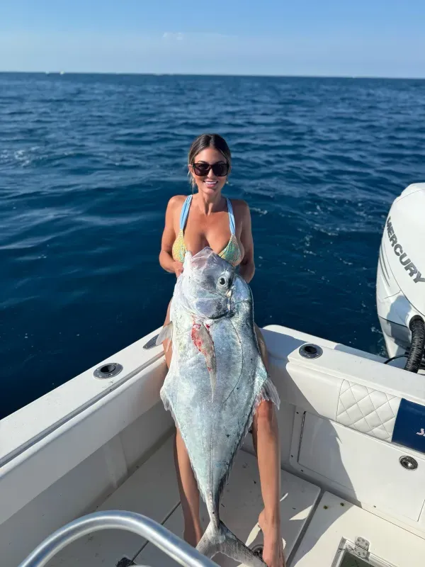 AP : African Pompano