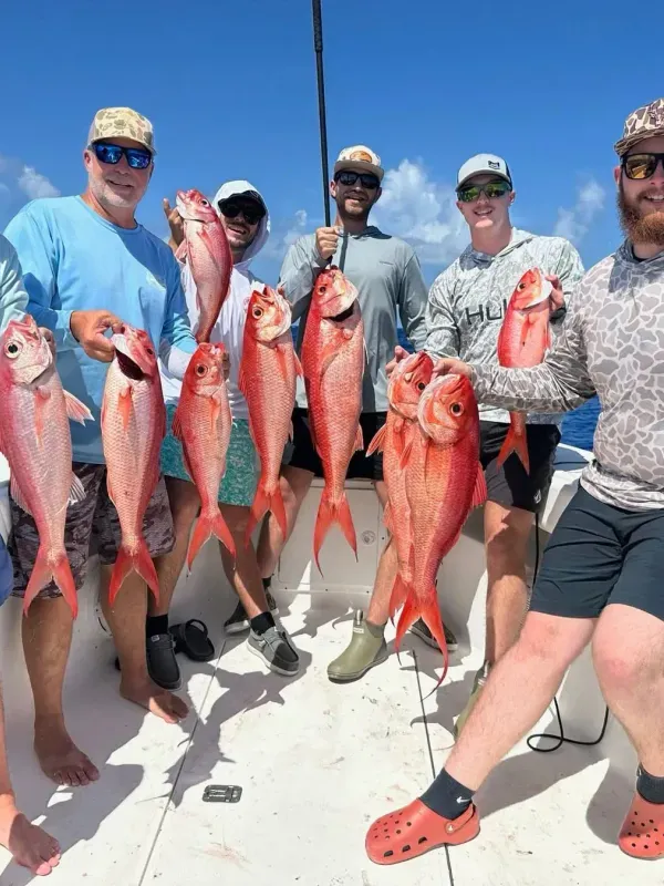 Offshore fullday