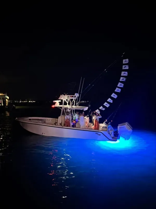 Sailfish : Full-Day